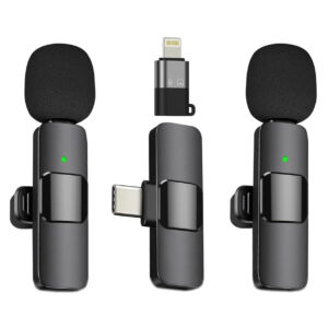 dual mic wireless