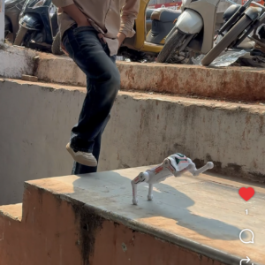 ROBOT DOG