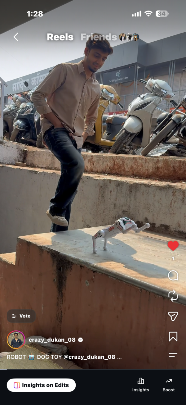 ROBOT DOG