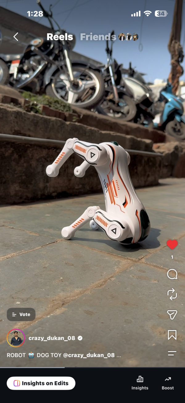 ROBOT DOG